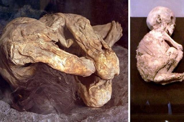 Hai xác ướp cổ xưa bí ẩn được phát hiện trong thùng carton bên trong một nhà xe ở California.