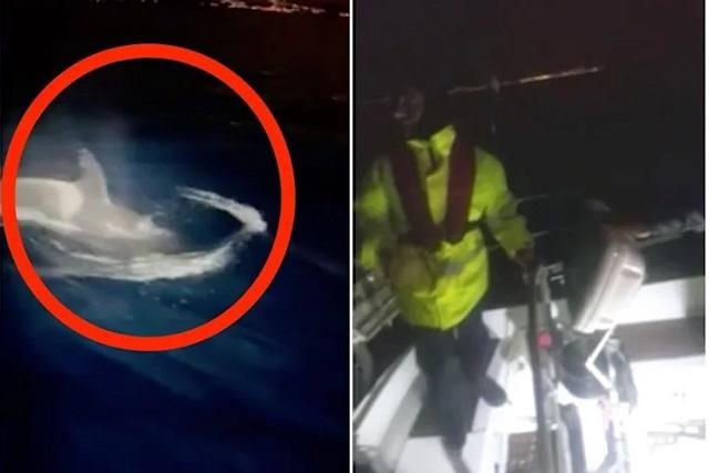 Ảnh cắt từ clip cho thấy con tàu bị cá voi sát thủ tấn công giữa đêm tối.