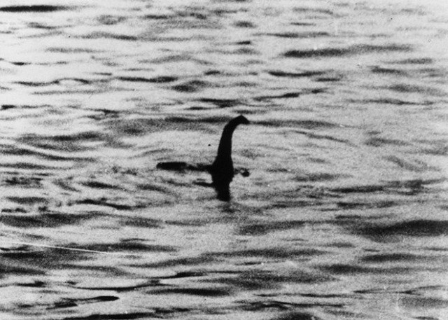 Phải ứng xử thế nào nếu bạn bắt được quái vật hồ Loch Ness?