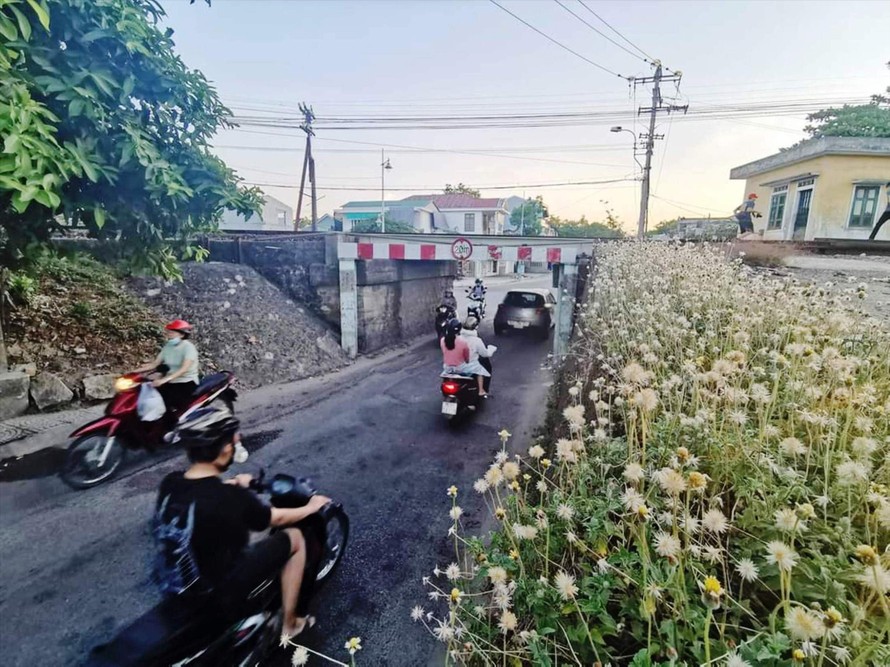 #39 Lòn chui #39 chuyện tên cầu
