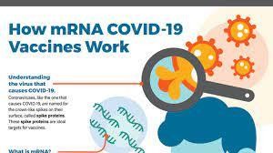 Công nghệ mRNA được áp dụng để phát triển vắc xin COVID-19