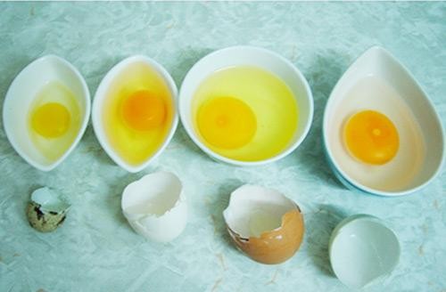 Trứng Gà, Trứng Cút - Trứng Nào Tốt Hơn?