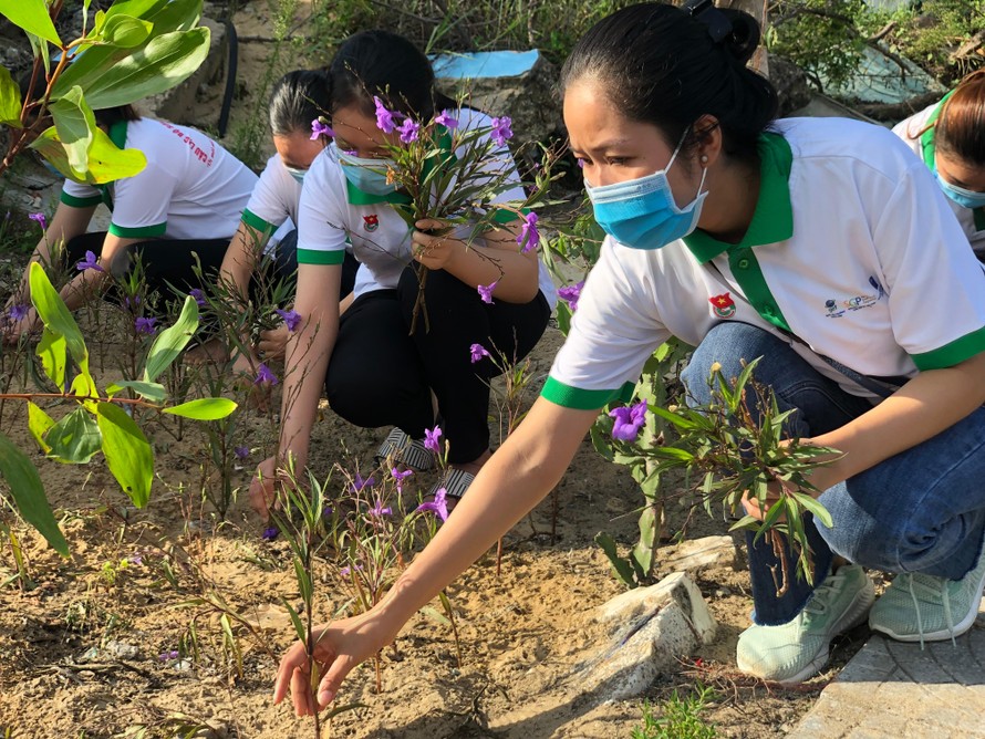 Đoàn viên thanh niên địa bàn dân cư tại TT-Huế tham gia làm sạch đẹp đường làng ngõ xóm
