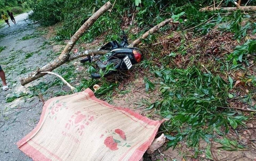 Bão số 5 đã làm 3 người thiệt mạng tại tỉnh TT-Huế.