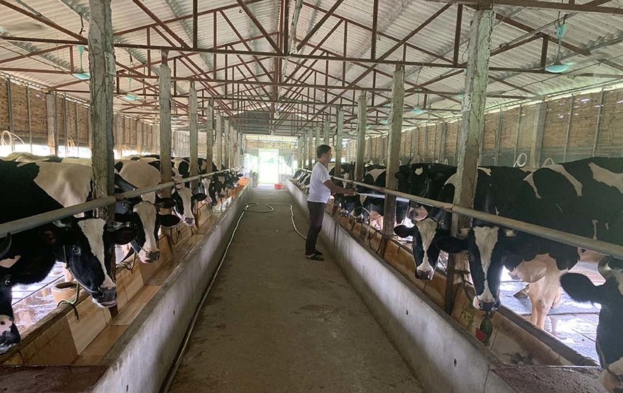 Làng 'vàng trắng' tỷ phú ven sông Hồng, 1 năm chia nhau 400 tỷ