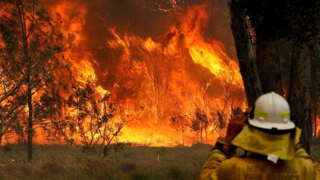 Ngọn lửa đã bùng cháy kéo dài hơn 1.000km từ Sydney đến Gold Coast gần Brisbane. Ảnh: Reuters