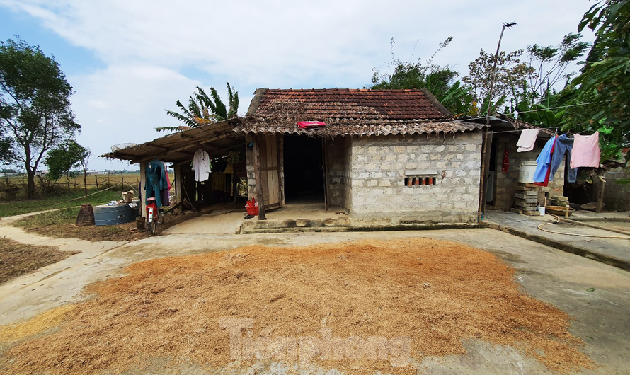 Tập huấn giúp dân xóa đói giảm nghèo ở Quảng Ngãi