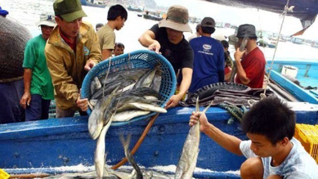 Phó Thủ tướng đồng ý bổ sung các đối tượng gián tiếp bị thiệt hại do Formosa gây ra (Ảnh IT)