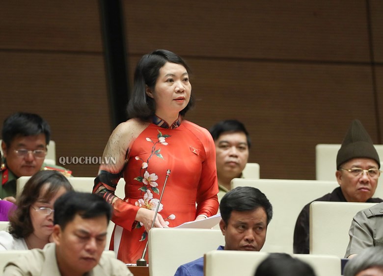 Đại biểu Mai Thị Phương Hoa (Nam Định), Uỷ viên Thường trực Uỷ ban Tư pháp