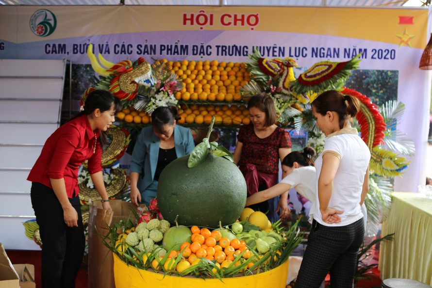 Hội chợ cam, bưởi huyện Lục Ngạn, Bắc Giang