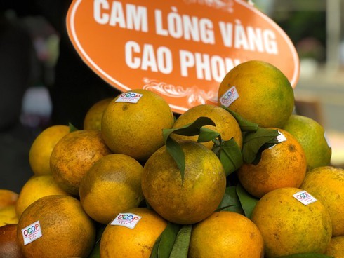 Cam Cao Phong chính vụ nhưng giá rẻ được bày bán tại nhiều siêu thị ở Hà Nội