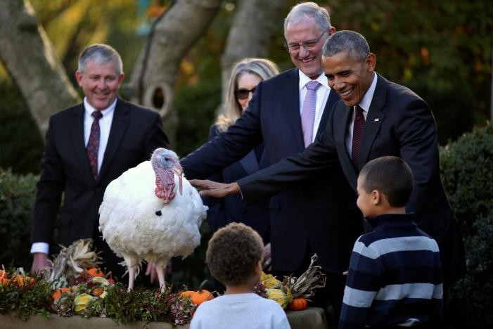 Ông Obama thực hiện nghi lễ ân xá gà tây hôm 23/11. Ảnh: Reuters