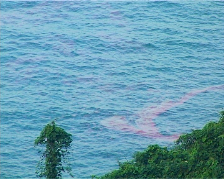 TT-Huế xuất hiện dải nước màu đỏ bất thường ở ven biển