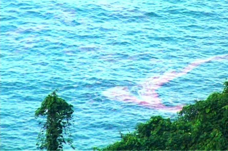 Dải nước đỏ “đáng sợ” ven biển TT-Huế là do tảo Noctiluca scintillans không có độc tố gây nên.