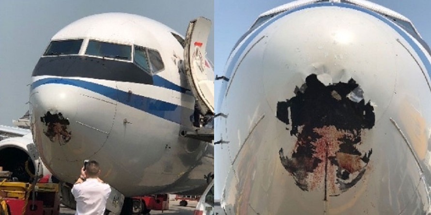 Chiếc máy bay của hãng hàng không Air China thủng lỗ lớn sau khi va chạm với chim. Ảnh: Weibo