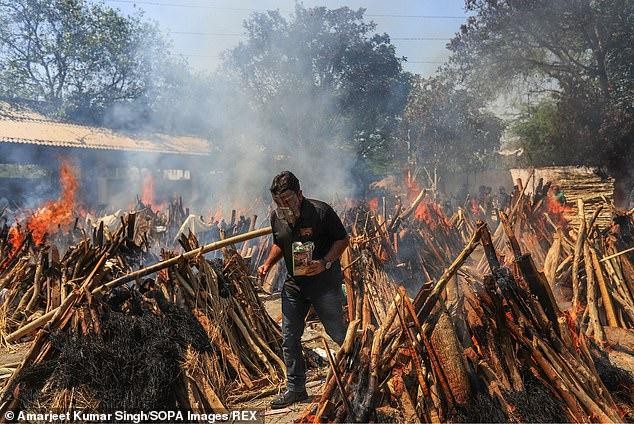 Ấn Độ chặt cây trong công viên thủ đô để hỏa thiêu thi thể bệnh nhân COVID-19