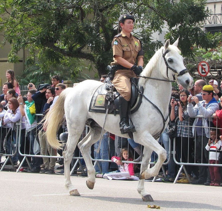 Một nữ cảnh sát kị binh ở Brazil năm 2015. Ảnh: Guilmann.