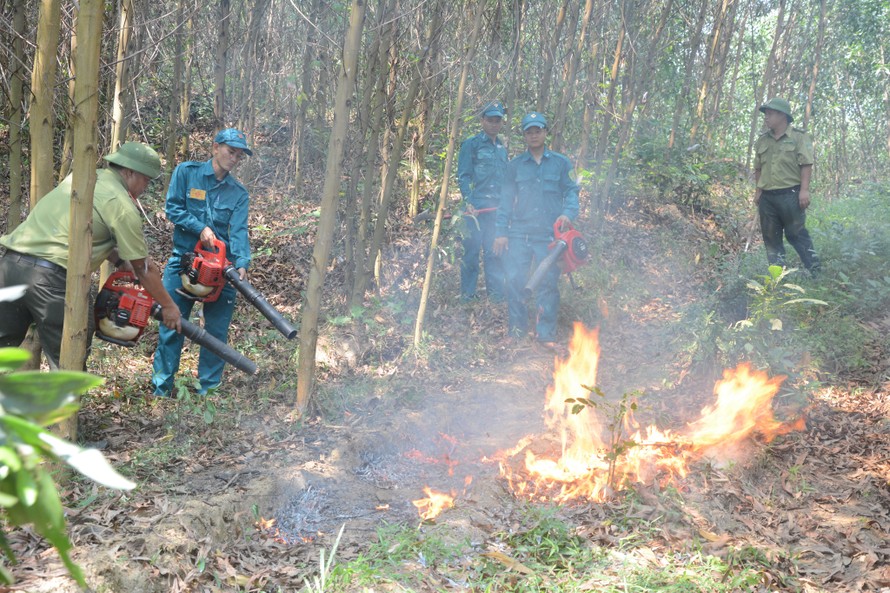 Chi cục Kiểm lâm TP Đà Nẵng vừa nâng mức cảnh báo cháy rừng lên mức báo động cao nhất (cấp V), đây là mức báo động rất nguy hiểm và có khả năng cháy lớn và lan tràn nhanh