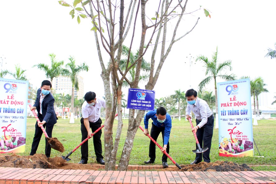 Năm nay, Thành Đoàn Đà Nẵng phấn đầu trồng 50 ngàn cây xanh trên địa bàn, riêng trong Tháng Thanh niên sẽ trao tăng 20 ngàn cây xanh (cây keo) là sinh kế hỗ trợ thanh niên trên địa bàn huyện Hòa Vang lập nghiệp