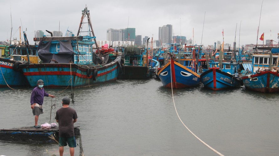 Người dân Đà Nẵng neo đậu tàu thuyền trú tránh bão số 6 hồi tháng 9/2021. 