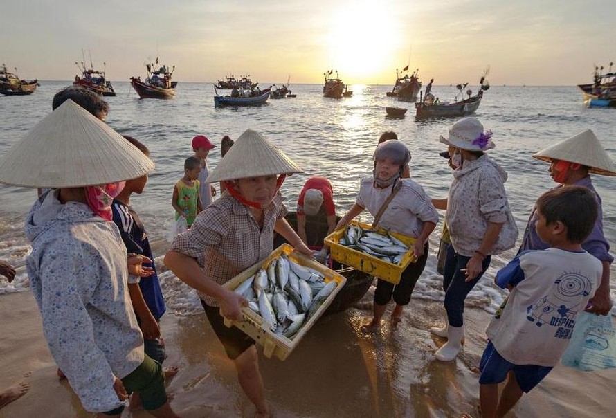 Ngư dân 4 tỉnh miền Trung bị sự cố môi trường sẽ được hỗ trợ để đóng 400 tàu cá đánh bắt xa bờ