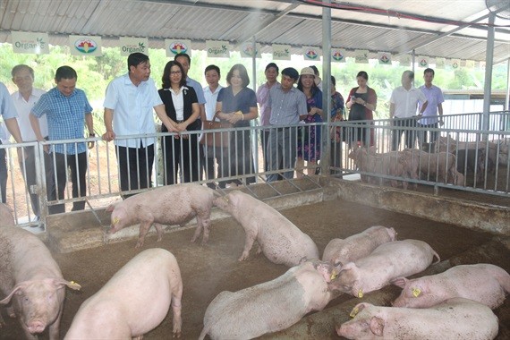 Bộ trưởng NN&PTNT Nguyễn Xuân Cường đặc biệt ấn tượng với mô hình liên kết chăn nuôi an toàn sinh học của Tập đoàn Quế Lâm. 