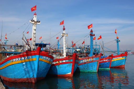 Hội Nghề cá Việt Nam đề nghị các cơ quan chức năng thường xuyên tăng cường các lực lượng chấp pháp trên biển để hỗ trợ và bảo vệ ngư dân ta khi hoạt động trên vùng biển của Việt Nam.