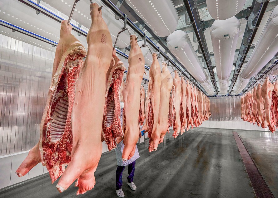 Cục Chăn nuôi cho biết, theo ước tính, tổng sản lượng thịt lợn hơi cả năm 2020 có thể đạt 3,46 triệu tấn, tăng gần 4% so với năm 2019.