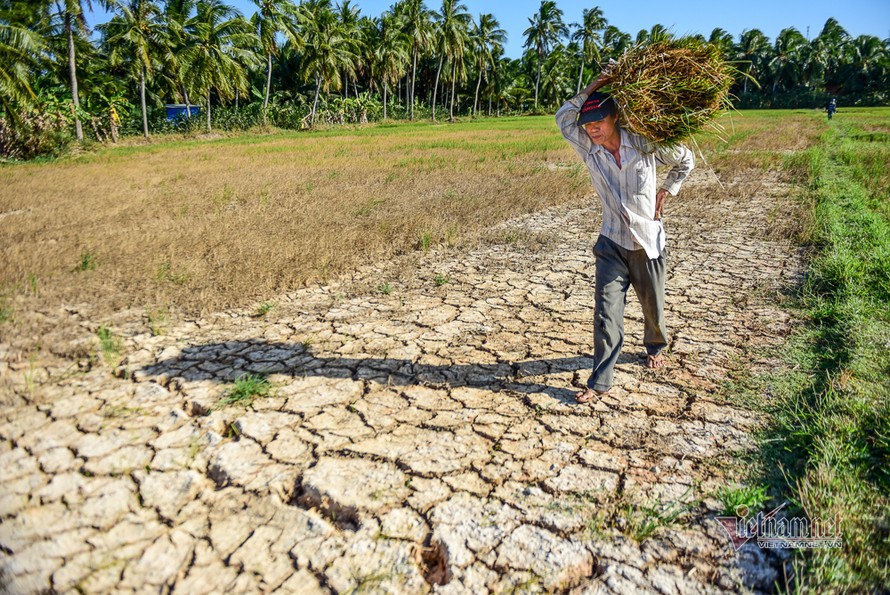 Nguồn nước mùa khô năm 2020-2021 về vùng Đồng bằng sông Cửu Long (ĐBSCL) thấp hơn so với trung bình 10 năm gần đây.