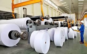 70% giấy tại Việt Nam sản xuất từ giấy phế liệu. ảnh minh hoạ