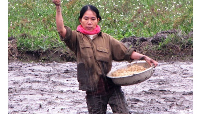 Thường xuyên ngâm chân tay trong nước gây tổn thương da (Ảnh minh họa)