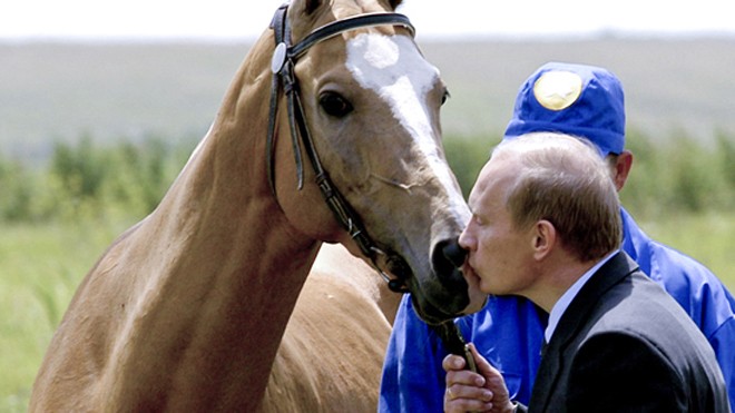 Ông Putin hôn ngựa