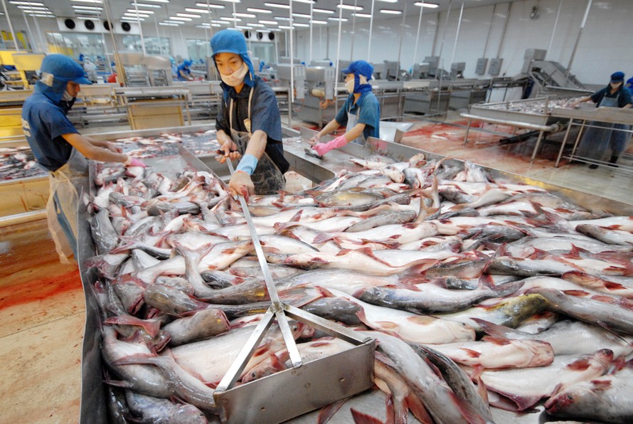 Mỹ “sửa” thuế chống bán phá giá cá tra Việt Nam