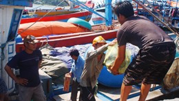  Ngư dân miền Trung vẫn ra khơi đánh bắt ở ngư trường truyền thống như Hoàng Sa, Trường Sa. Ảnh: Nguyễn Thành
