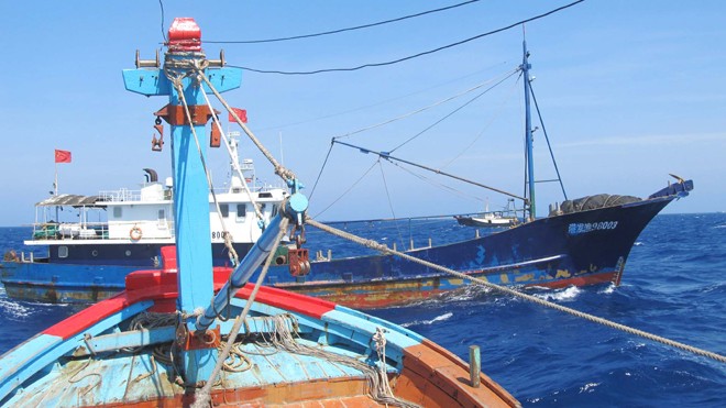 “Trâu xanh” 98003 đeo bám tàu cá Việt Nam như hình với bóng cả cuộc hải trình
