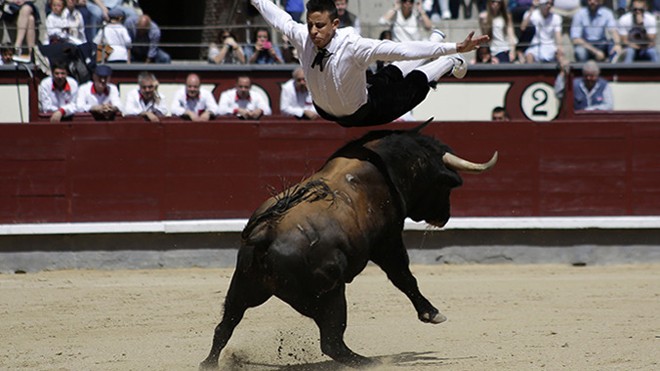 Tây Ban Nha ra phán quyết cấm đấu bò 