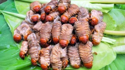 Những con cơ đang được rửa sạch đang chờ chế biến. 