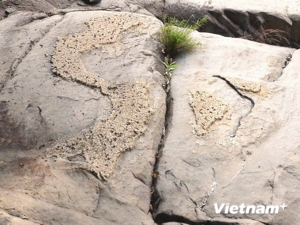 Bản đồ Việt Nam trên đá. (Ảnh: Nguyễn Đức Thọ/Vietnam+) 