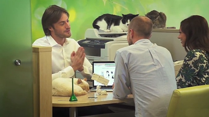 Khách hàng đang chọn mèo trong video quảng cáo của Sberbank. Ảnh: Sberbank