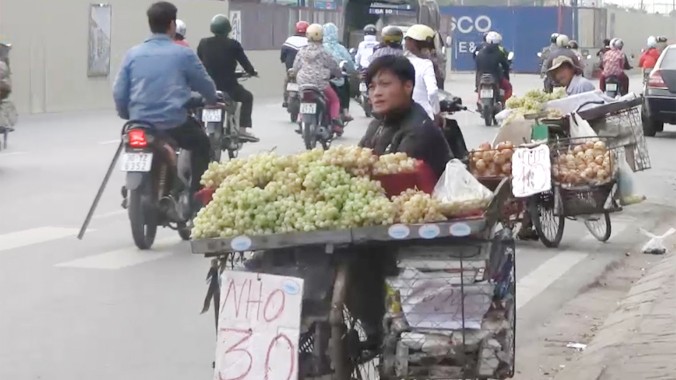 Sự thật về nho siêu rẻ tại Hà Nội