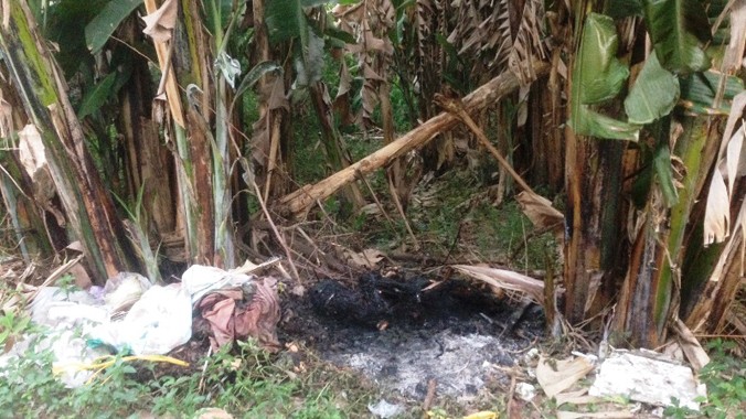 Hiện trường phát hiện xác chết bị đốt cháy gần bụi chuối. Ảnh Việt Văn.