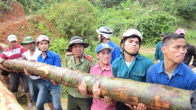 Thanh niên Tây Giang chung tay góp sức vác những cây gỗ lớn làm cầu giúp dân. Ảnh: Nguyễn Thành.