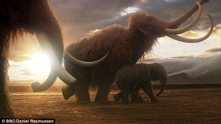 Các nhà khoa học tham vọng sẽ nhân bản để hồi sinh loài voi ma mút đã tuyệt chỉnh cách đây hàng ngàn năm.