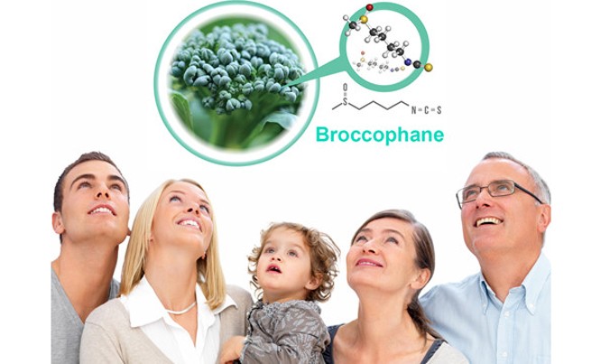 Các nghiên cứu lâm sàng cho thấy, tỷ trọng Thioredoxin tăng gấp 3 lần sau 6 giờ sử dụng Broccophane.
