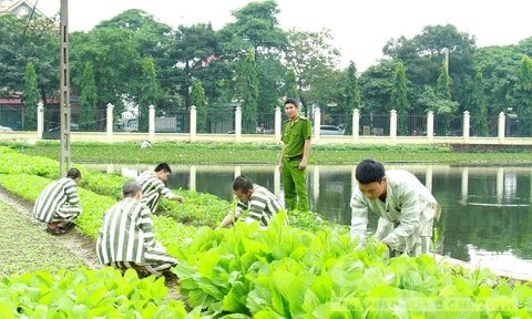 Các phạm nhân đang cải tạo tại Trại tạm giam Công an tỉnh Nghệ An.