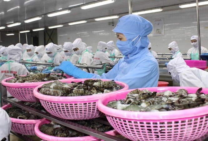 Năm 2019, Việt Nam xuất siêu 10 tỷ USD, kim ngạch xuất nhập khẩu đạt trên 500 tỷ USD,