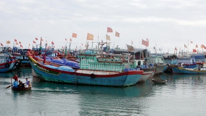 Bản tin 20H: Ngư dân bị tấn công, cướp tài sản ở Hoàng Sa