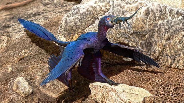 Thằn lằn bay Quetzalcoatlus  Sinh vật khiến khủng long Trex phải khiếp sợ