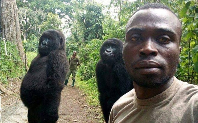 Sự thật ảnh khỉ selfie: Bức ảnh khỉ selfie đã từng gây nhiều tranh cãi về tính đúng đắn và đạo đức. Hãy xem ảnh để tìm hiểu và khám phá sự thật đằng sau bức ảnh đầy tò mò này. Bạn sẽ được trải nghiệm một góc nhìn mới và phong phú về thế giới động vật.