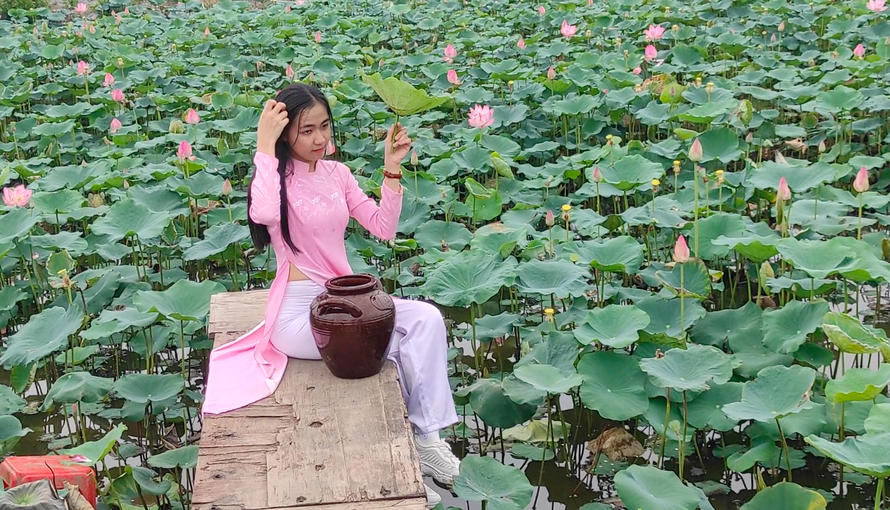 Cận cảnh hồ sen, vườn hoa hướng dương có một không hai ở Sài Gòn